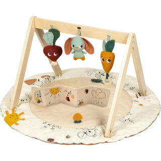 Tiny Love Luxe Developmental Gymini | Garden of Adventures - 1