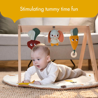 Tiny Love Luxe Developmental Gymini | Garden of Adventures - 8