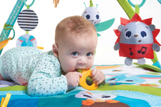 Tiny Love Meadow Days Sunny Day Gymini - 2