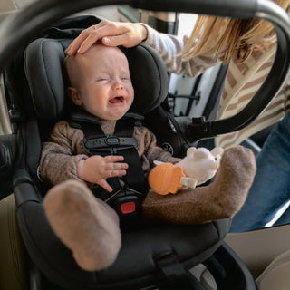 UPPAbaby Aria Lightweight Infant Car Seat + Base Anthony (Grey | Chestnut Leather) - Open Box - 95