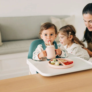 UPPAbaby Ciro High Chair - 93