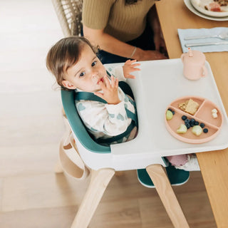 UPPAbaby Ciro High Chair - 85
