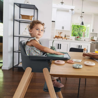 UPPAbaby Ciro High Chair - 53