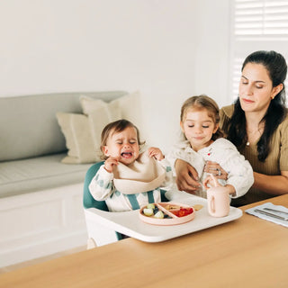 UPPAbaby Ciro High Chair - 90