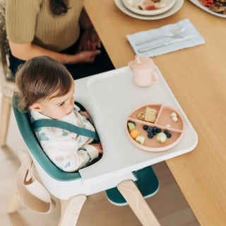 UPPAbaby Ciro High Chair - 67