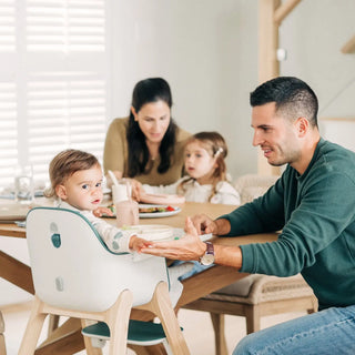 UPPAbaby Ciro High Chair - 95