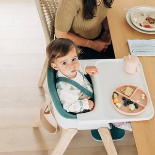 UPPAbaby Ciro High Chair - 84