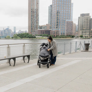 UPPAbaby Luxe CozyGanoosh Lyla - 14