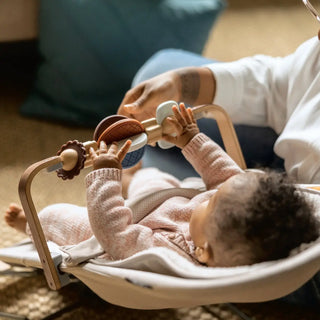 UPPAbaby Mira 2-in-1 Bouncer & Seat - 57
