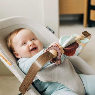 UPPAbaby Mira 3-in-1 Bouncer - 28
