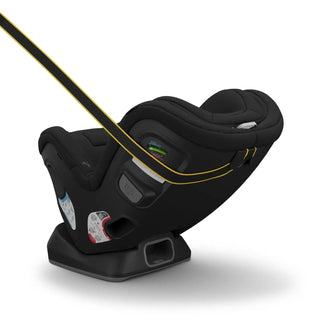 UPPAbaby Rove Convertible Car Seat - 79