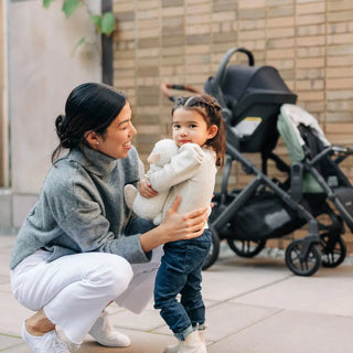 UPPAbaby Vista V2+ RumbleSeat - 28