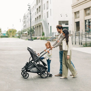 UPPAbaby Vista / Vista V2 / Vista V3 Piggyback - 19