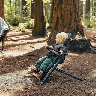 Veer &Chill Frame for Switchback Seat - 2