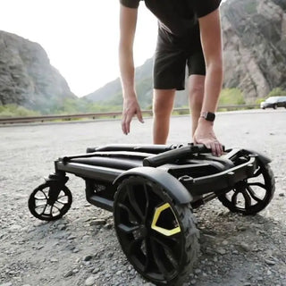 Veer Cruiser All-Terrain Wagon 2-Seater - 9