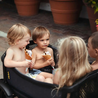 Veer Cruiser XL All-Terrain Wagon 4-Seater - 31