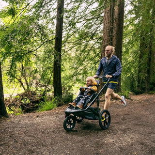 Veer &Jog Frame for Switchback Seat - 24