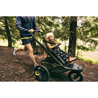 Veer &Jog Frame for Switchback Seat - 21