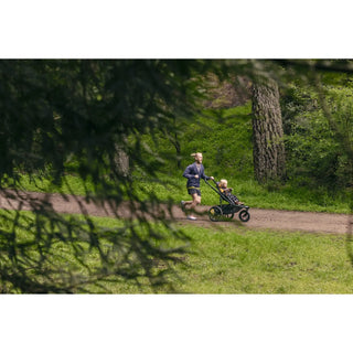 Veer &Jog Frame for Switchback Seat - 22