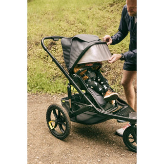 Veer &Jog Frame for Switchback Seat - 20