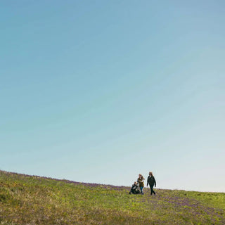 Veer &Roll Frame for Switchback Seat - 32