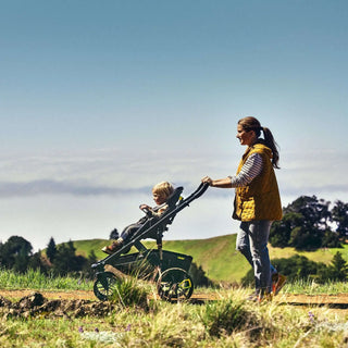 Veer &Roll Frame for Switchback Seat - 31