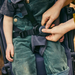 Veer &Roll Frame for Switchback Seat - 33