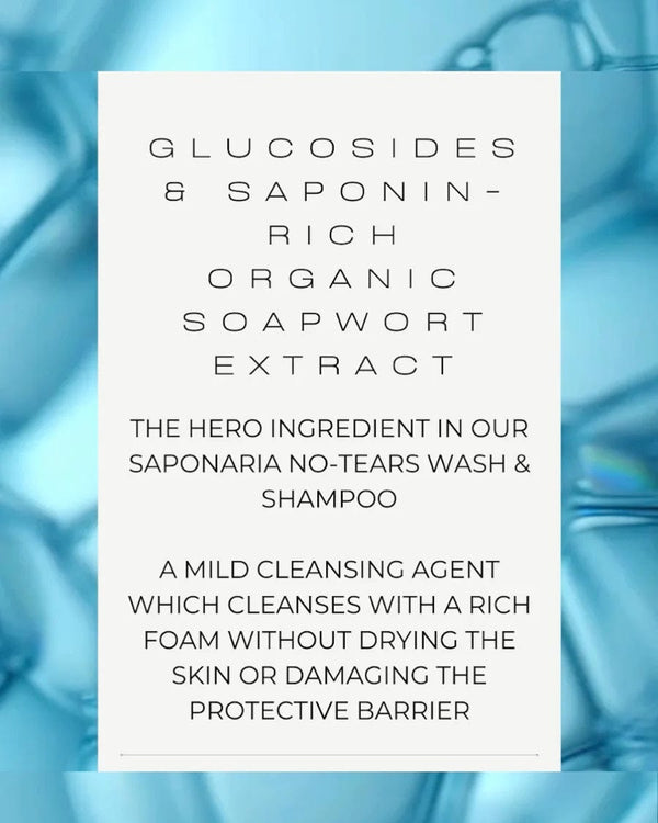 VIVAIODAYS Fragrance Free Saponaria No-Tears Wash & Shampoo | Pump Station & Nurtury