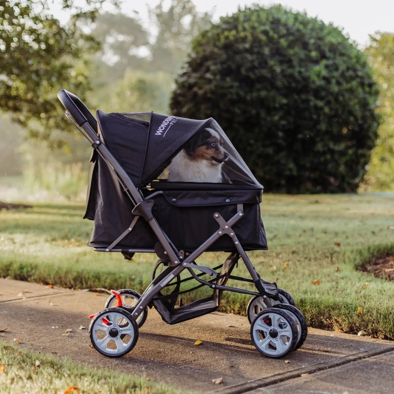 how to fold a dog stroller Wonderfold Folding Pet Stroller with Zipperless Entry & Reversible – Pump Station & Nurtury